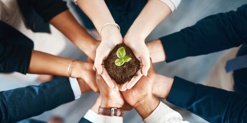 5 Reasons Every Company Needs a Sustainability Committee